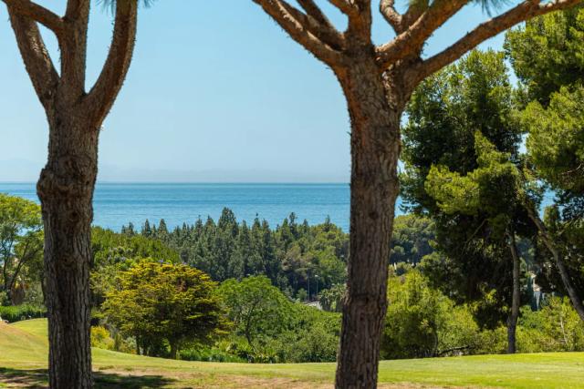 Imagen 5 de Luxury villa on the first line of golf