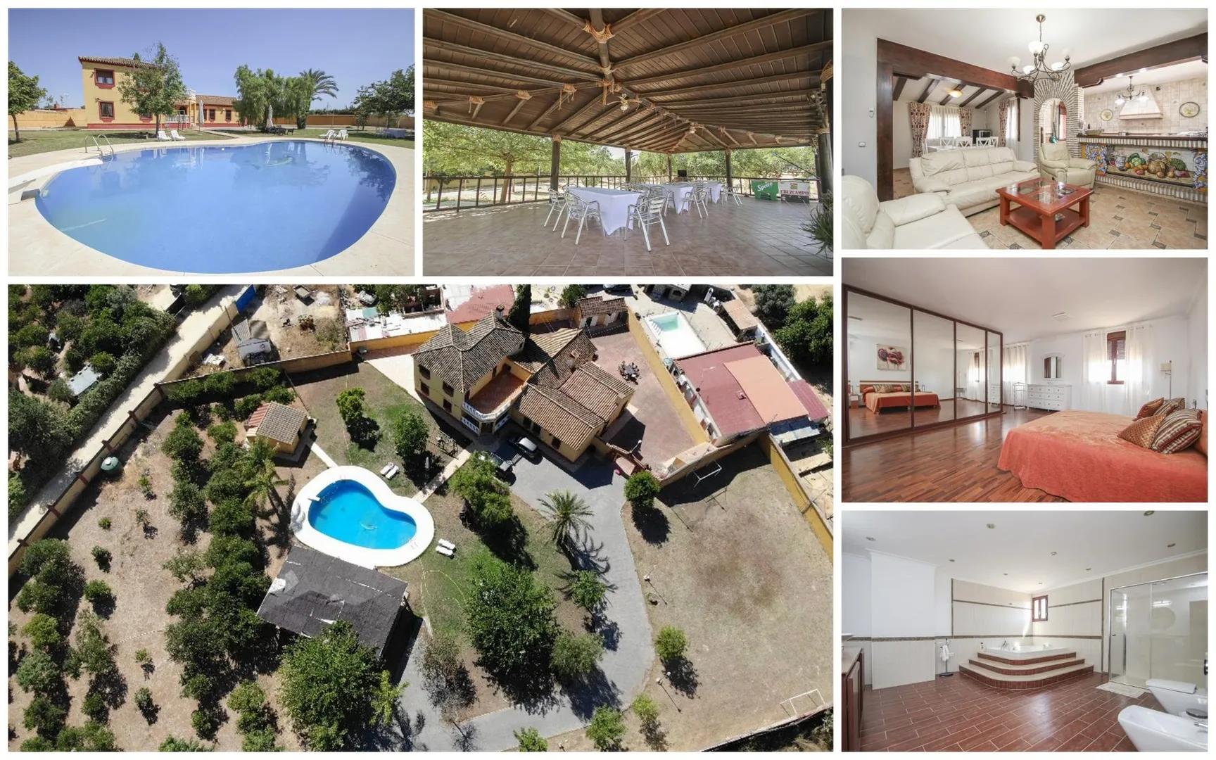 YOUR 5,000m2 ESTATE IN SEVILLE TO CELEBRATE LIFE